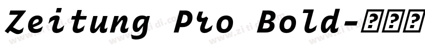 Zeitung Pro Bold字体转换